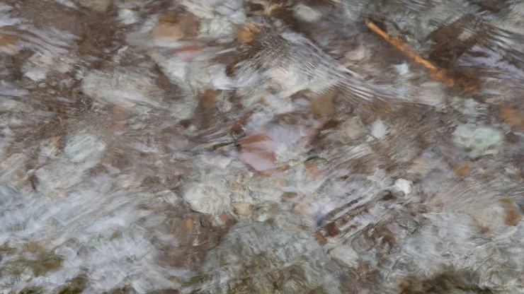 喝了一些從山上流下來的水,真的是雪水耶,完全不會有味道那種