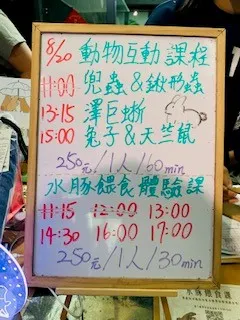 超多體驗活動