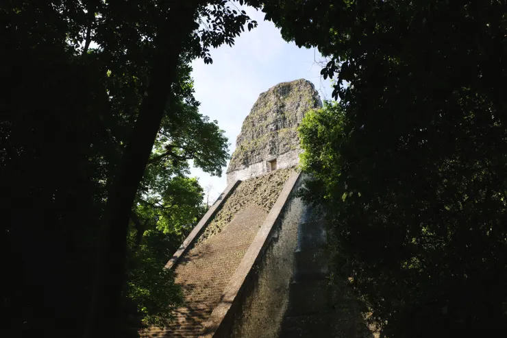 提卡爾- 第五神廟 Temple V