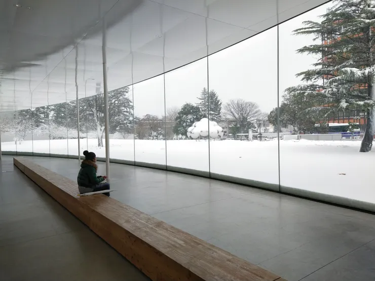 圓弧形的落地玻璃,靜靜看著外面的雪景