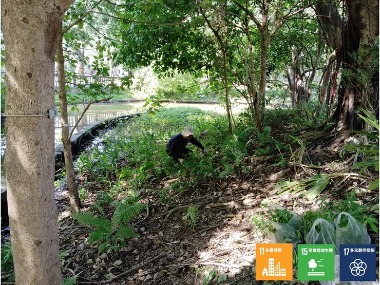 中游轉角的另塊濃蔭常濕區域，種進一些蝴蝶的食草