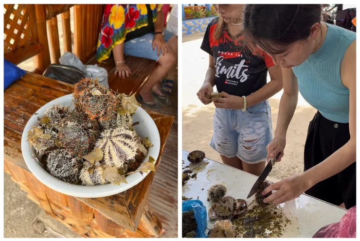在宿霧首次吃海膽與首次體驗切海膽