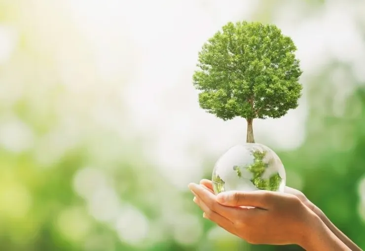 正念是什麼?一起探索正念帶來的益處與奧妙! | Image by Shutterstock