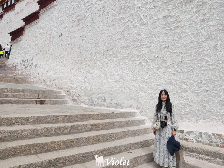 西藏拉薩 布達拉宮