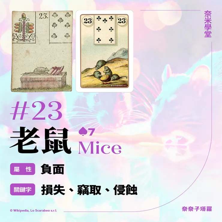 #23-老鼠 Mice