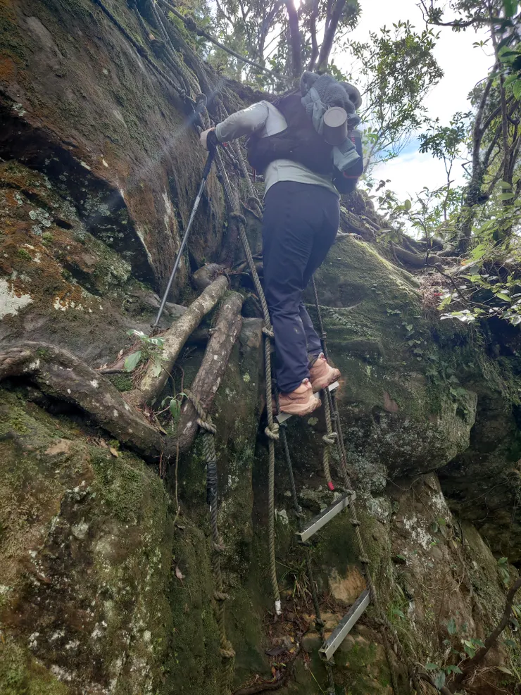 搖搖晃晃的鐵梯