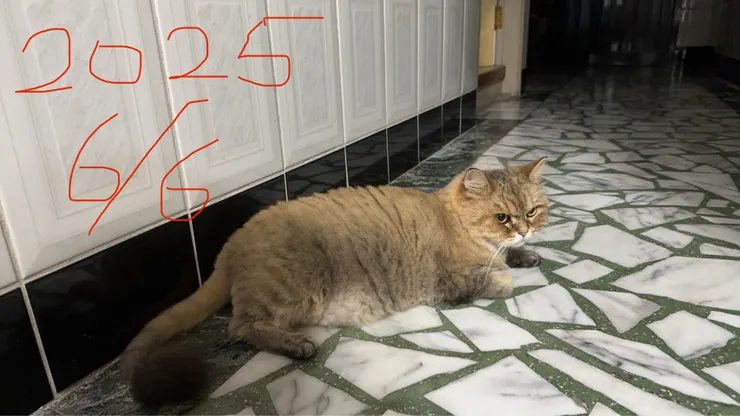 媽媽拍攝於 2025/6/6