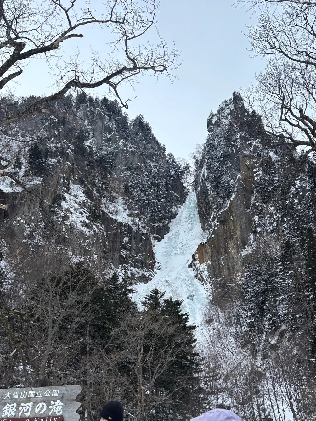 黑杯日記 Black Cup Journal