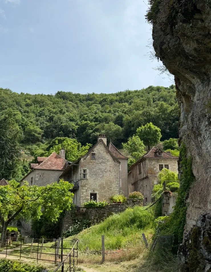 就這樣看著看著，然後發起了呆