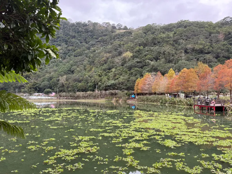 2026/01/10 風景照