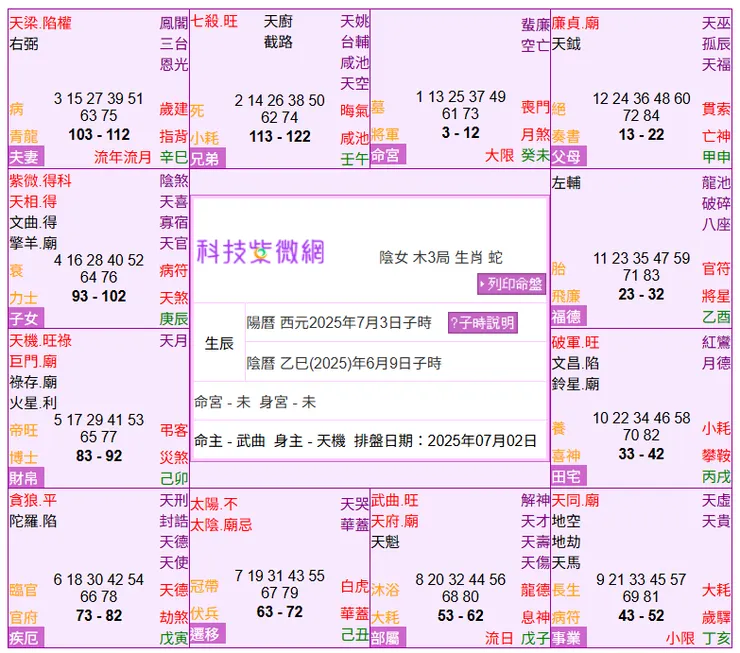 科技紫微網隨意排出的命盤
