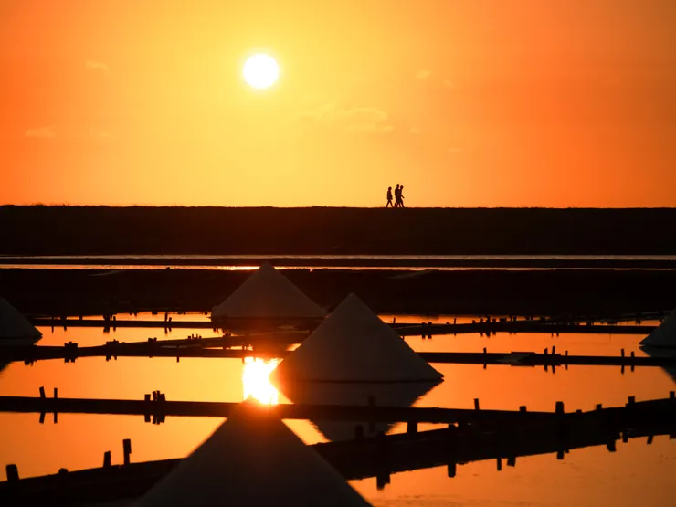 夕陽，日落西山前的時刻，又稱之為黃金時刻(Golden Hour)
