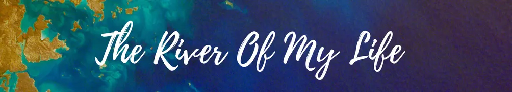 Kevin Cheng的沙龍