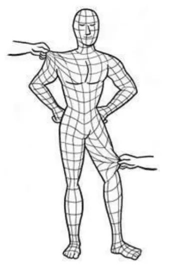 筋膜像一張包裹全身的網子