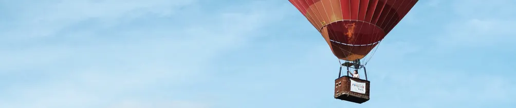 女巫加林與棕熊