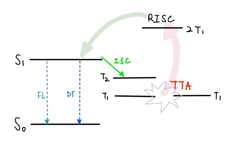 圖四、Triplet-Triplet Fusion/Annihilation 途徑。