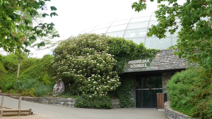 離開印尼叢林區