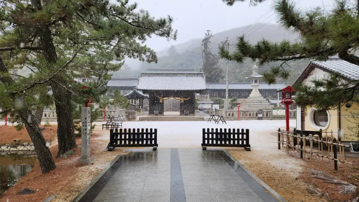 離開之前也開始慢慢飄雪了,以岡山平地來說真的很稀奇