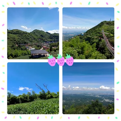 值得一遊的地方~嘉義梅山太平雲梯