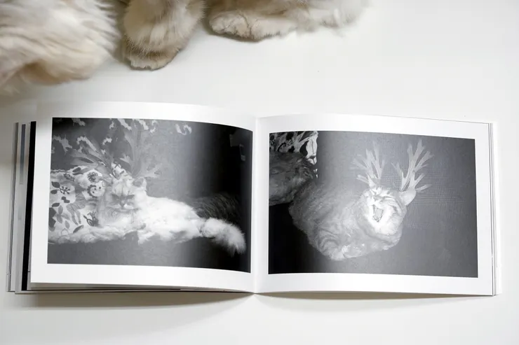 監工的小夥伴:最佳男主角