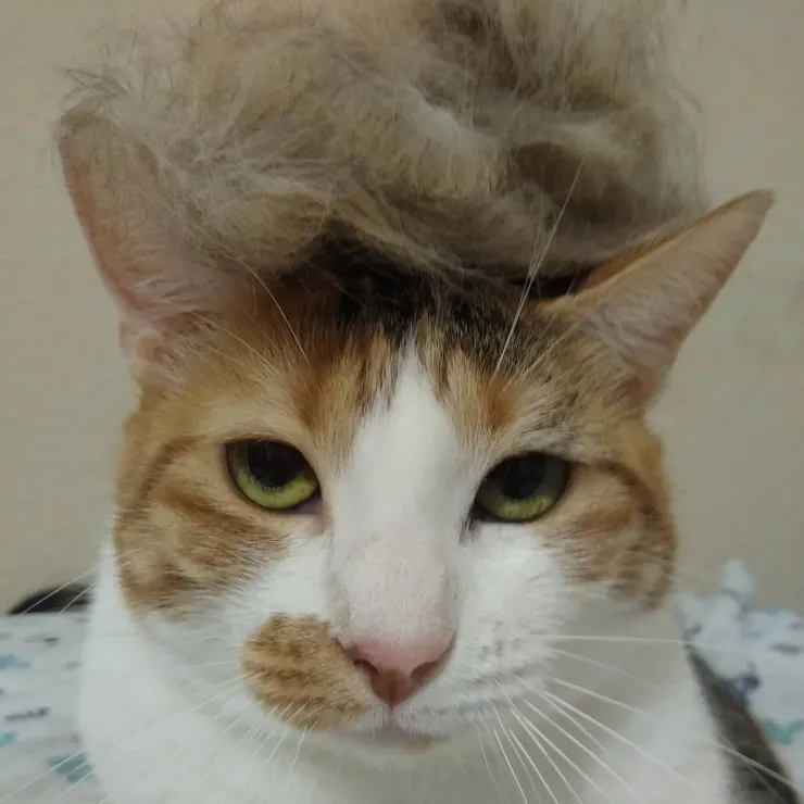 小比：終於解脫了！