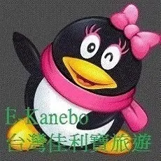 最美的安排 最好的選擇 台灣佳利寶旅遊 商務觀光 港空接送