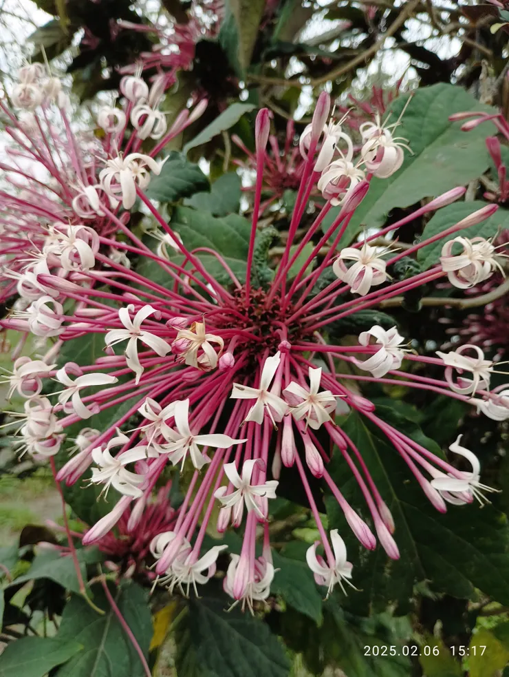 崩出智慧銷“不知”