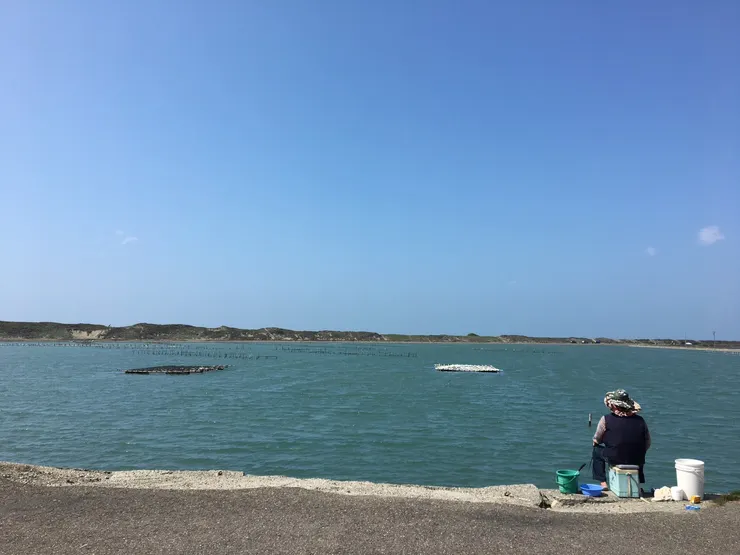 2020年3月 · 台南青鯤鯓