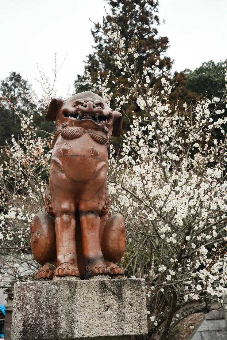 神社境內的石獅子。
