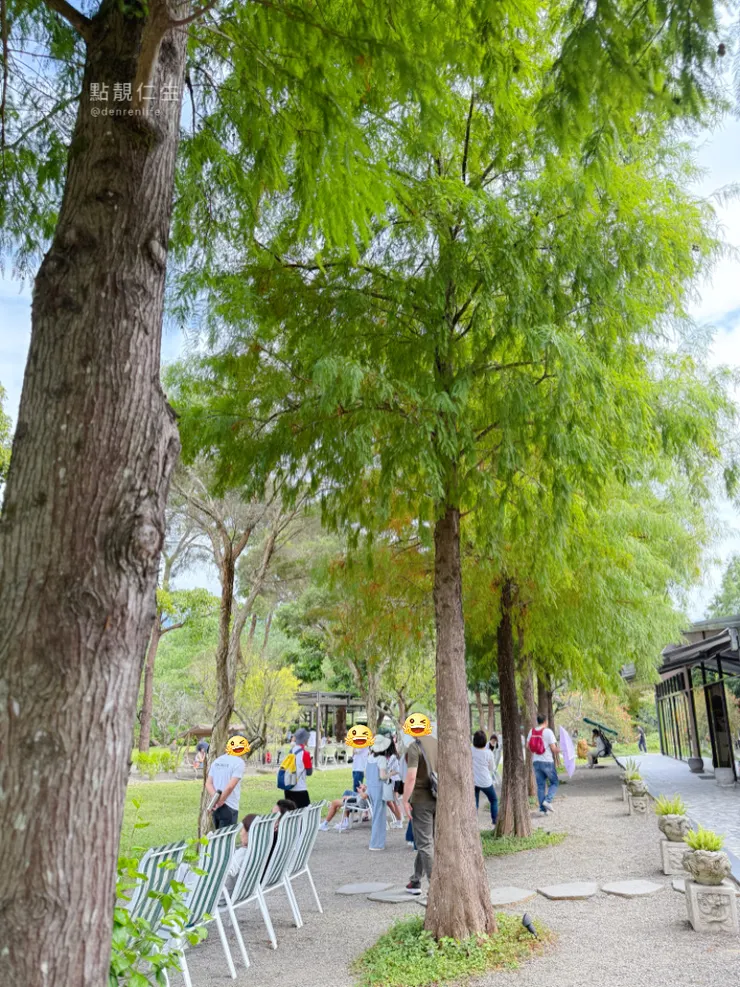 販賣機前方的落雨松及座位｜春秋山林