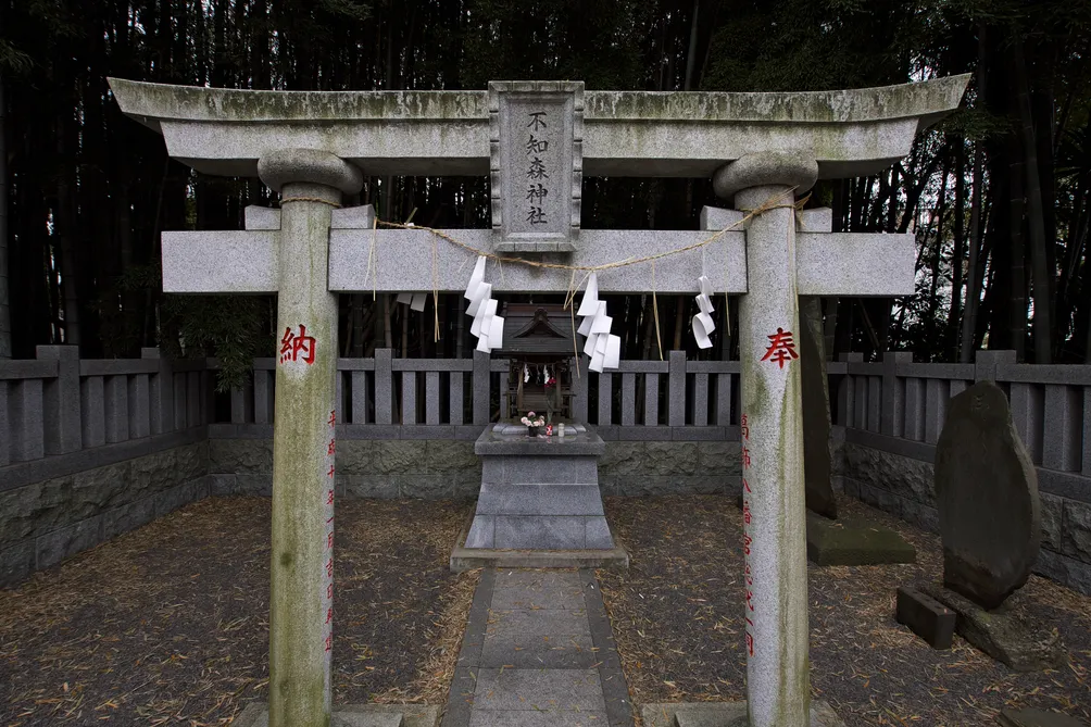 Abigail的怪談沙龍