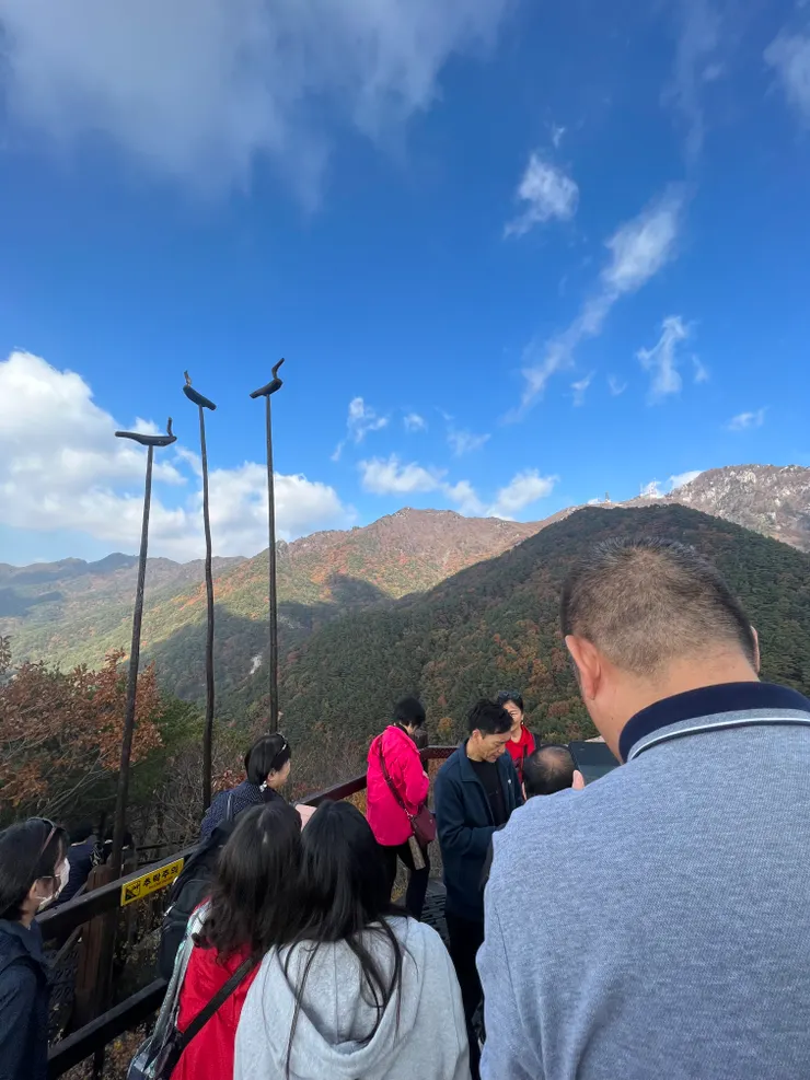 賞楓人潮炸裂，要拍照得要排隊