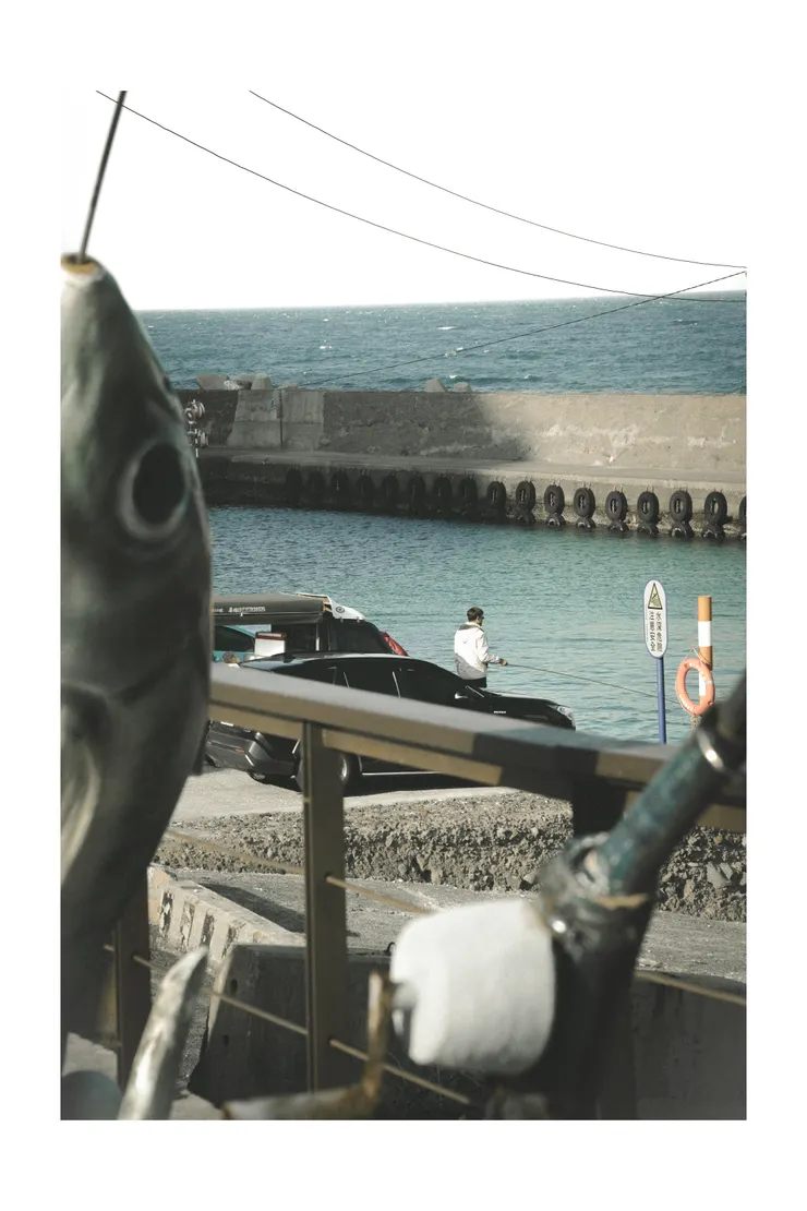 Fishing Fish（草里漁港，新北市）