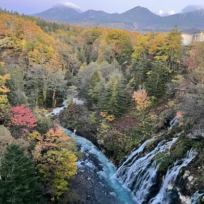 善的循環的沙龍