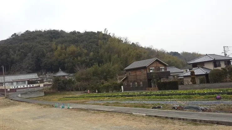一路上的田野風景非常舒服