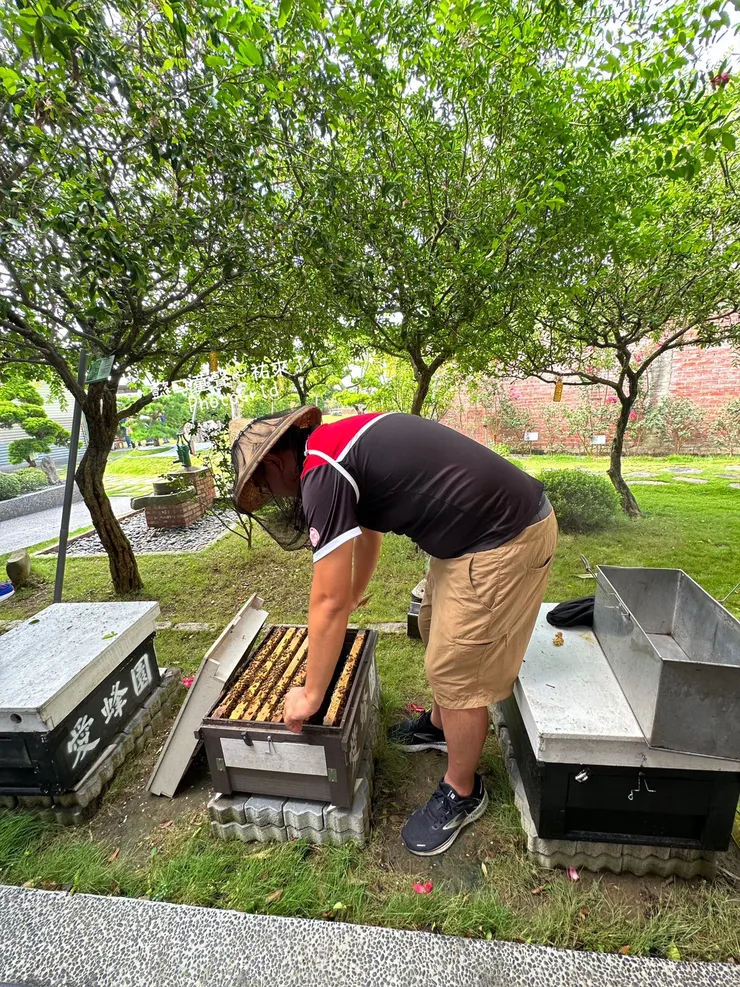 一個木框製造出來的蜂巢是一個家。