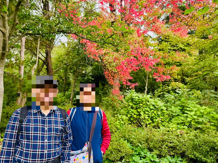 植物園裡最紅的一棵樹