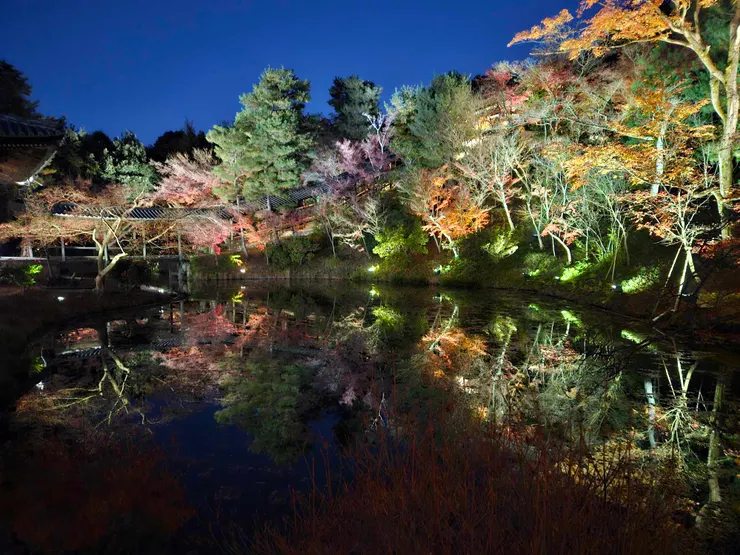 臥龍池夜楓,左邊的長廊是觀月橋