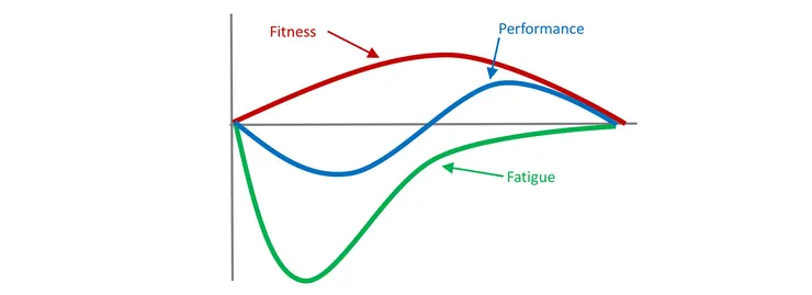 圖為體能疲勞模型的理論圖型，依然橫軸為時間，縱軸為肌力表現，圖引用自Chris Beardsley的網路文章。