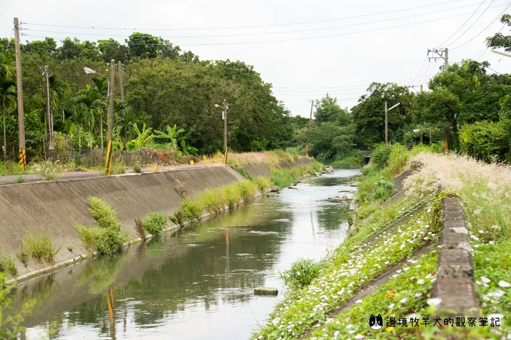 隨意騎單車閒晃，意外發現美景！