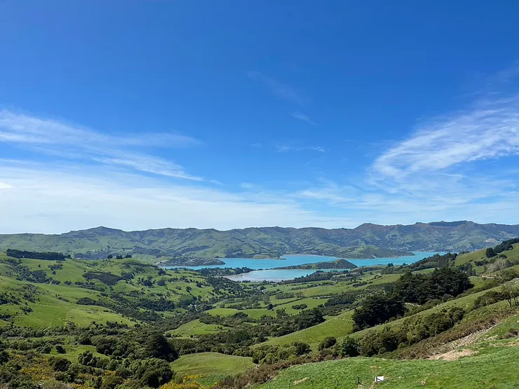 前往Akaroa路上的觀景處