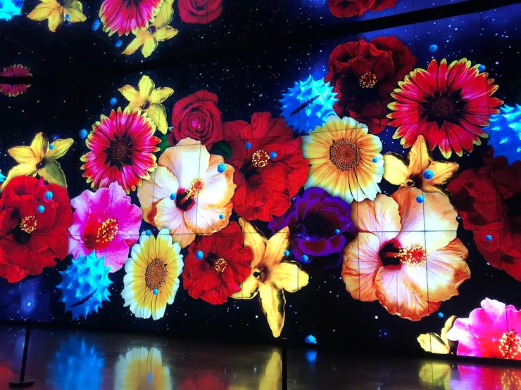 繽紛的花朵就像每個服務故事一樣