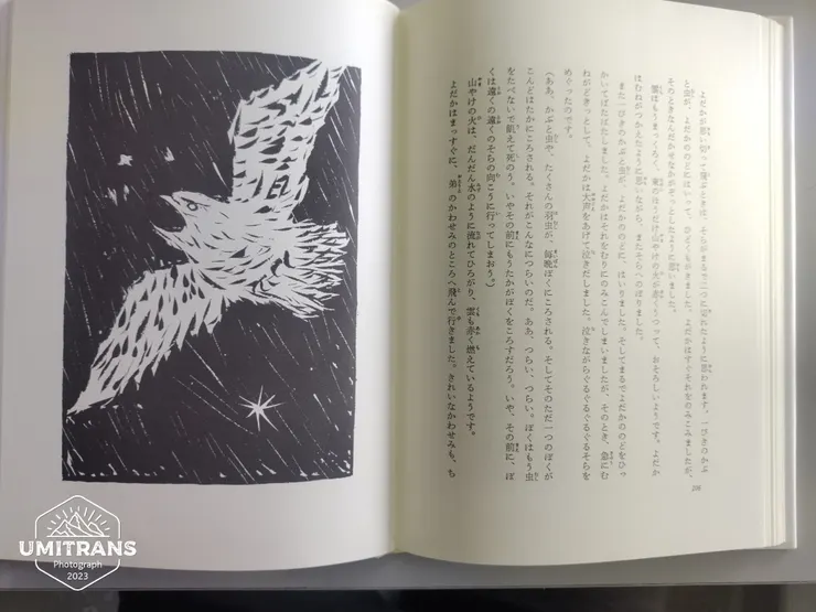 また一ぴきのかぶと虫が、よだかののどに、はいりました。そしてまるでよだかののどをひっかいてばたばたしました。よだかはそれをむりに呑み込んでしまいましたが、その時、急にむねがドキッとしてよだかは大声をあげて泣きだしました。泣きながらぐるぐるぐるぐる空をめぐったのです。