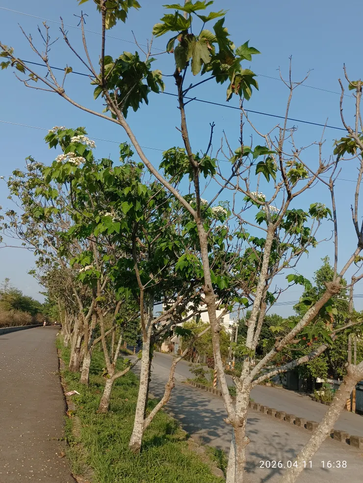 一帶迤邐思悠悠