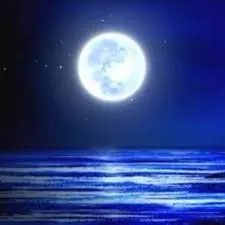 人都有屬於自己的光芒