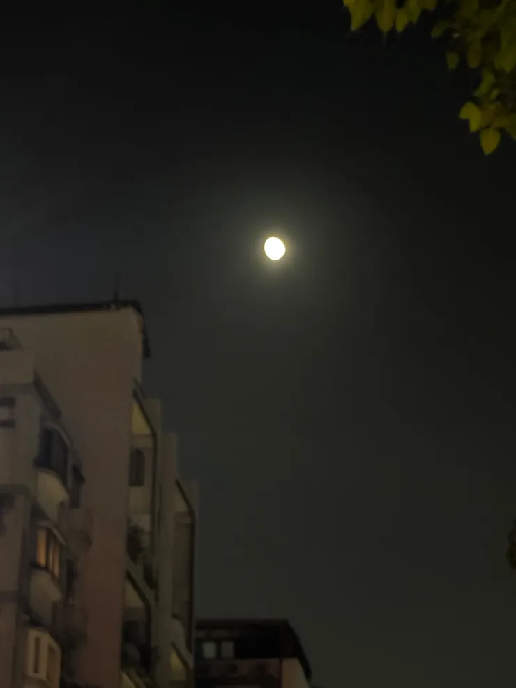 拍攝於2025年8月6日，台北 士林