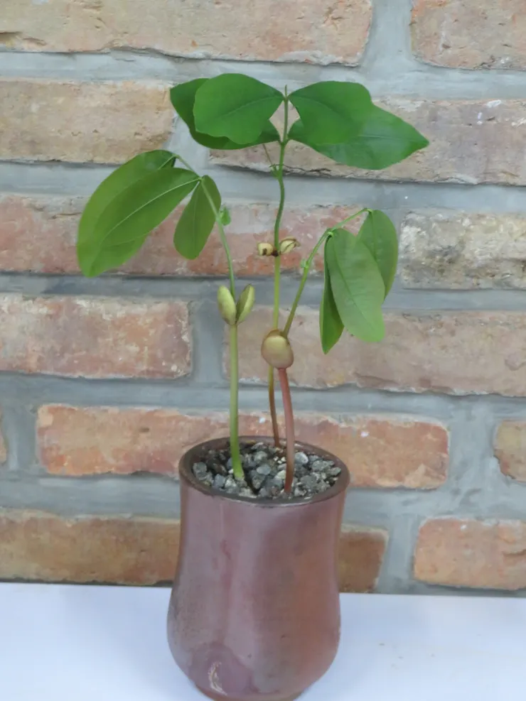 淡水社大111.10.11