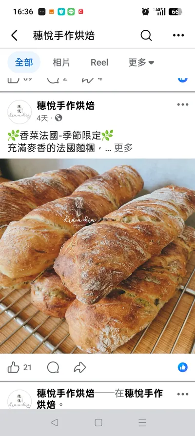 香菜法國麵包...