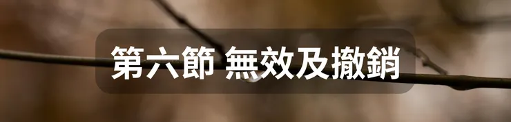 第六節 無效及撤銷