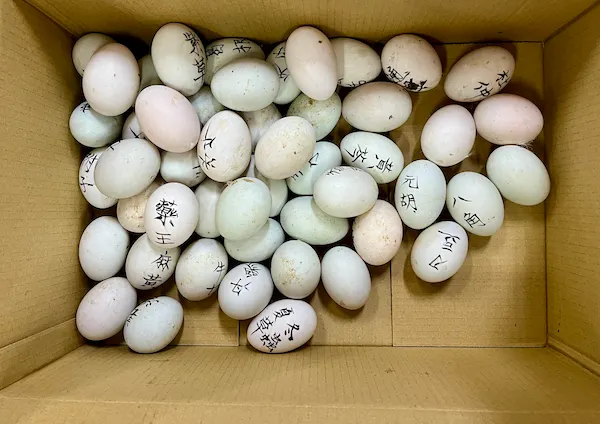 認真看了一下,有找到豆也有棗,但沒有豆棗,因為豆棗不是藥材。